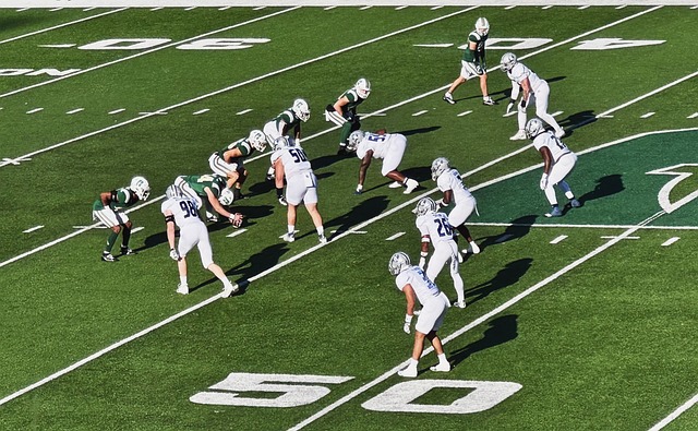 成功的选手 成功的选手