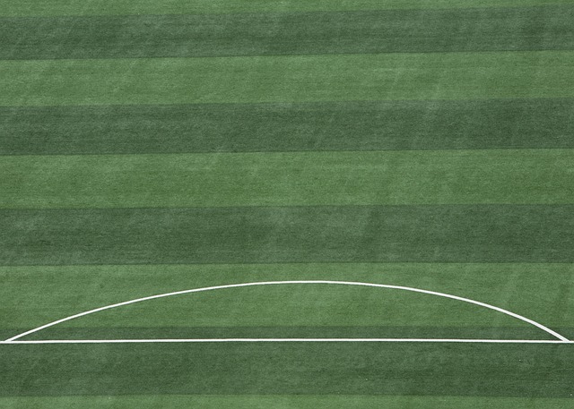 再到國際米 再到國際米