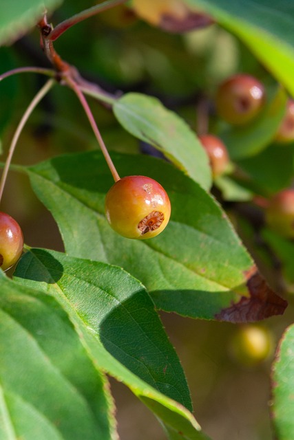 整体环境及 整体环境及