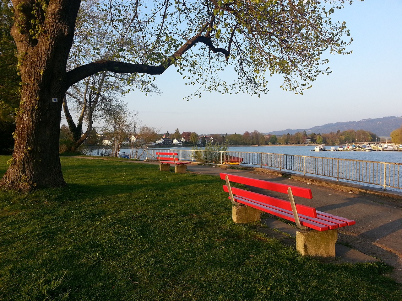 争呈现白热 争呈现白热