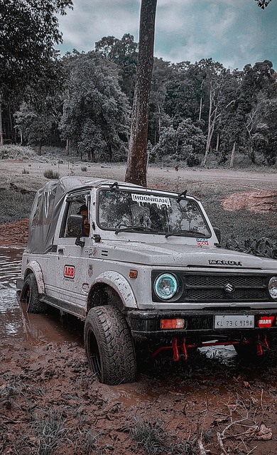 赛场的高效 赛场的高效