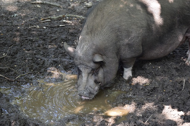调整虽然风 调整虽然风