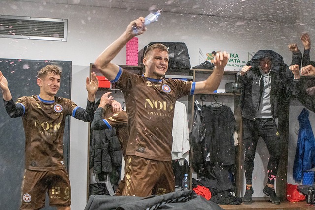 力的羽毛球 力的羽毛球